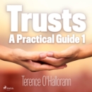 Trusts - A Practical Guide 1 - eAudiobook