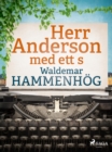 Herr Anderson med ett s - eBook