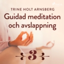 Guidad meditation och avslappning - Del 3 - eAudiobook
