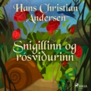 Snigillinn og rosviðurinn - eAudiobook