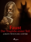 Faust. Der Tragodie erster Teil - eBook