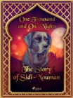 The Story of Sidi-Nouman - eBook