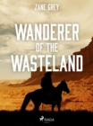 Wanderer of the Wasteland - eBook