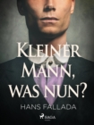 Kleiner Mann, was nun? - eBook