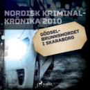 Godselbrunnsmordet i Skaraborg - eAudiobook
