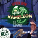 Spion Don Kameleon en de Tijdspoort - eAudiobook