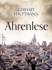 Ahrenlese - eBook