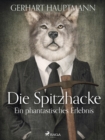Die Spitzhacke - Ein phantastisches Erlebnis - eBook