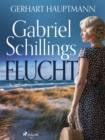 Gabriel Schillings Flucht - eBook