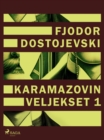 Karamazovin veljekset 1 - eBook