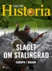 Slaget om Stalingrad - eBook
