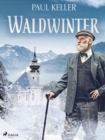 Waldwinter - eBook
