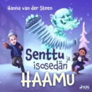 Senttu ja isosedan haamu - eAudiobook