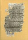 Apocryphon Severini : Studies in Ancient Manichaeism & Gnosticism presented to Soren Giversen - Book