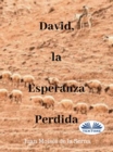 David, La Esperanza Perdida - eBook