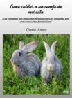 Como Cuidar A Un Conejo De Mascota : !Los Conejitos Son Unas Mascotas Fantasticas! - eBook