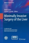 Minimally Invasive Surgery of the Liver - Book