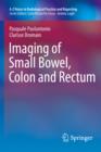 Imaging of Small Bowel, Colon and Rectum - eBook