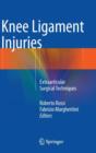 Knee Ligament Injuries : Extraarticular Surgical Techniques - Book