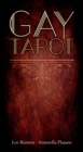 Gay Tarot - Book