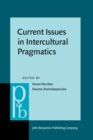Current Issues in Intercultural Pragmatics - eBook