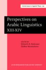 Perspectives on Arabic Linguistics : Papers from the Annual Symposium on Arabic Linguistics. Volume XIII-XIV: Stanford, 1999 and Berkeley, California 2000 - eBook