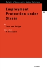 Employment Protection under Strain - eBook