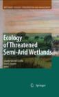 Ecology of Threatened Semi-Arid Wetlands : Long-Term Research in Las Tablas de Daimiel - eBook