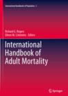 International Handbook of Adult Mortality - eBook