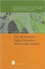 The UN Children's Rights Convention: Theory Meets Practice - Book