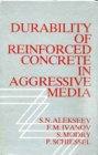 Durability of Reinforced Concrete in Aggressive Media - Book