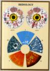 Iridology -- A4 - Book