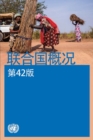 Basic Facts about the United Nations (Chinese Edition) - Book