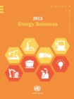 2013 energy balances - Book