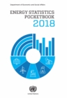 Energy statistics pocketbook 2018 - Book