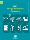 Energy statistics yearbook 2017 - Book