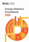 Energy statistics pocketbook 2020 - Book