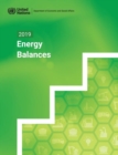 2019 energy balances - Book