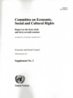 Committee on Economic, Social and Cultural Rights: Report on the Forty-Sixth and Forty-Seventh Sessions : (2-20 May 2011, 14 November-2 December 2011) - Book