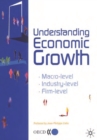 Understanding Economic Growth A Macro-level, Industry-level, and Firm-level Perspective - eBook