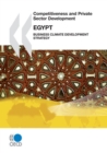 Competitiveness and Private Sector Development: Egypt 2010 Business Climate Development Strategy - eBook