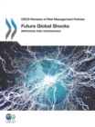 OECD Reviews of Risk Management Policies Future Global Shocks Improving Risk Governance - eBook