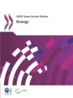 OECD Green Growth Studies Energy - eBook