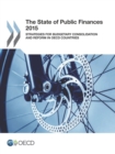 The State of Public Finances 2015 Strategies for Budgetary Consolidation and Reform in OECD Countries - eBook