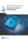OECD Public Governance Reviews Open Government in Indonesia - eBook