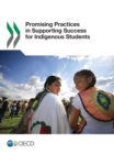 Promising Practices in Supporting Success for Indigenous Students - eBook