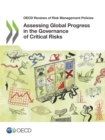 OECD Reviews of Risk Management Policies Assessing Global Progress in the Governance of Critical Risks - eBook