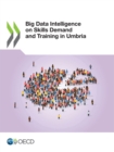 Big Data Intelligence on Skills Demand and Training in Umbria - eBook