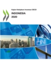 Kajian Kebijakan Investasi OECD Indonesia 2020 - eBook