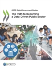 OECD Digital Government Studies The Path to Becoming a Data-Driven Public Sector - eBook